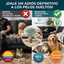 C3: Transformación del Hogar - Adiós Definitivo a los Pelos